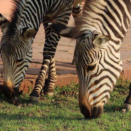 We Kebi Safari Lodge Sesriem Εξωτερικό φωτογραφία